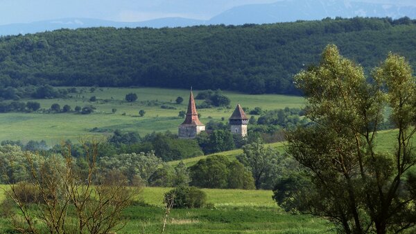Hundertbcheln im Jahr 2016