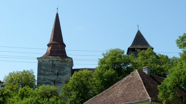 Hundertbcheln im Jahr 2014