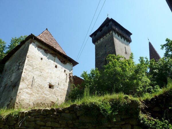 Hundertbcheln im Jahr 2014