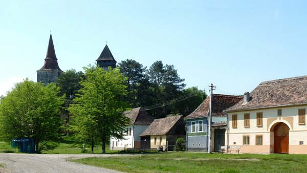 Hundertbcheln im Jahr 2014