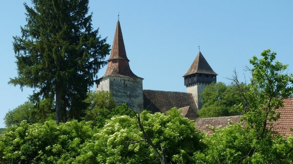 Hundertbcheln im Jahr 2014