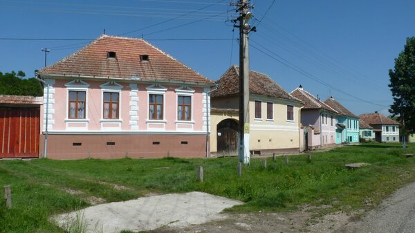 Hundertbcheln im Jahr 2014