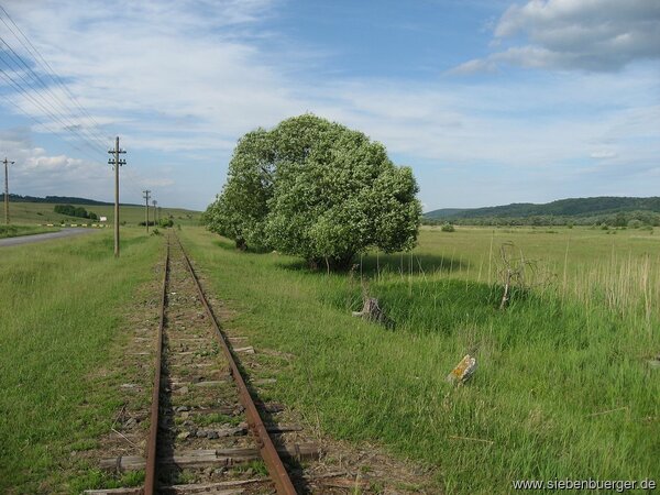 Gleise der Schmalspurbahn „Wusch“ im Harbachtal