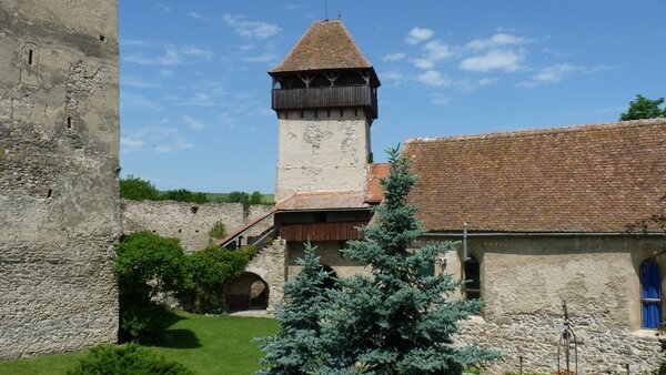 Kelling im Jahr 2013