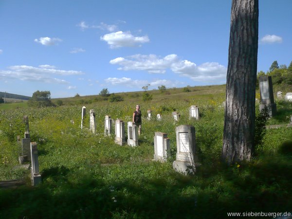 Teil des Kirchberger Friedhofs (2010 ?)
