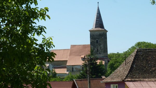 Kirtsch im Jahr 2014