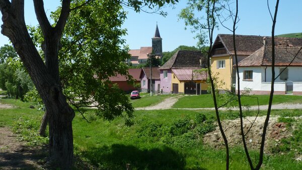 Kirtsch im Jahr 2014