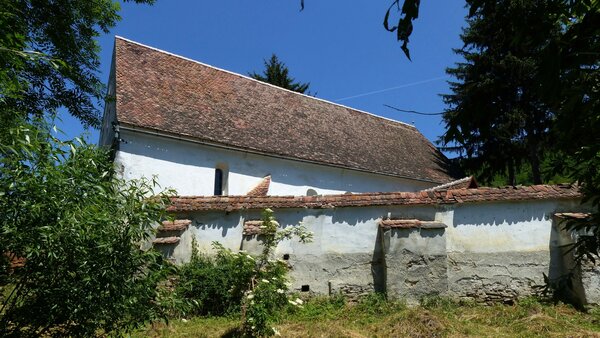 Kleinalisch im Jahr 2015