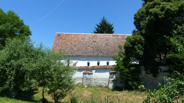 Kleinalisch im Jahr 2015