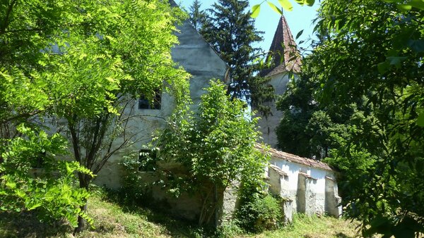 Kleinalisch im Jahr 2015