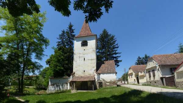 Kleinalisch im Jahr 2015