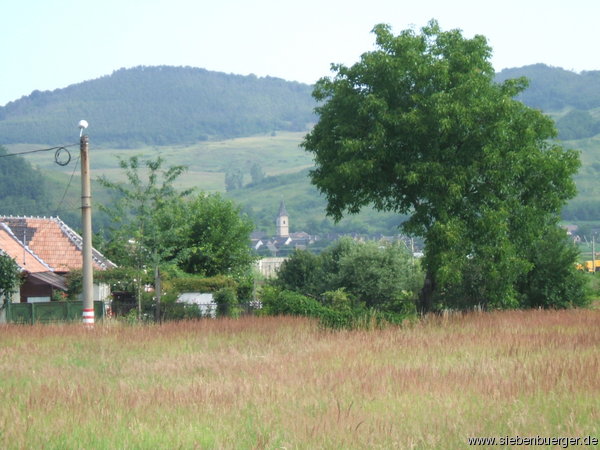 Blick aus Kleinkopisch auf den Kleinprobstdorfer Kirchturm