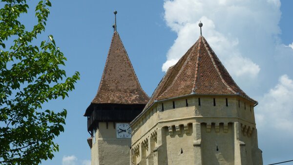 Kleinschelken im Jahr 2014