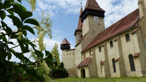 Kleinschelken im Jahr 2017