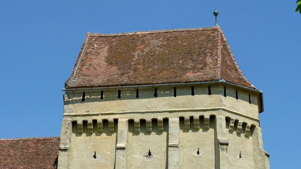 Kleinschelken im Jahr 2014