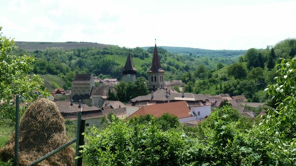 Kleinschelken im Jahr 2014
