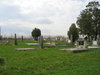 Friedhof3