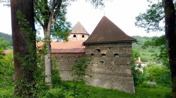 Kreisch im Jahr 2014