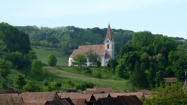 Kreisch im Jahr 2014