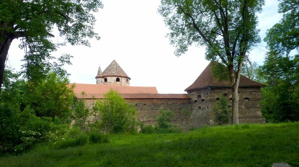 Kreisch im Jahr 2014