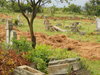 Friedhof, Juli 2010