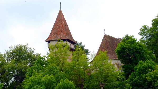 Magarei im Jahr 2013