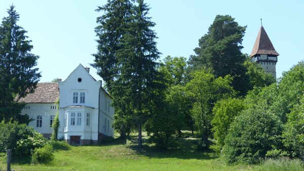 Magarei im Jahr 2015