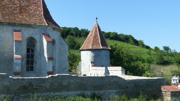 Mardisch im Jahr 2015