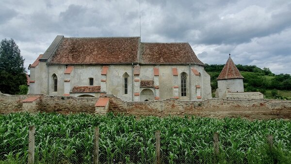 Mardisch im Jahr 2023