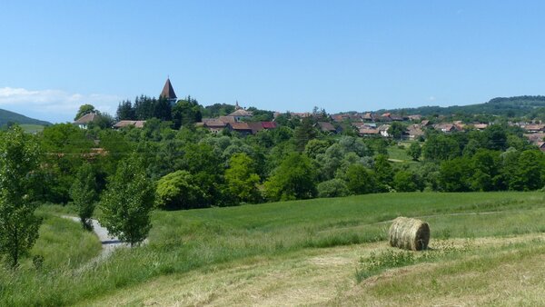 Martinsberg im Jahr 2015