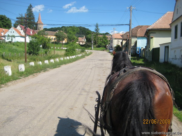 Mit einer Pferdestrke in Martinsdorf unterwegs