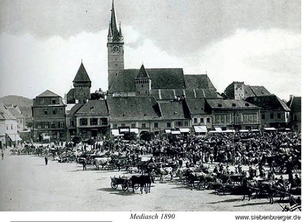 Mediasch 1890