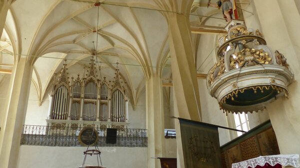 Meschen im Jahr 2015