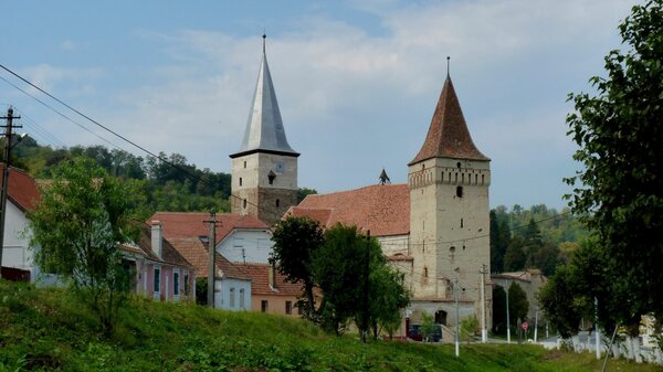 Meschen im Jahr 2011
