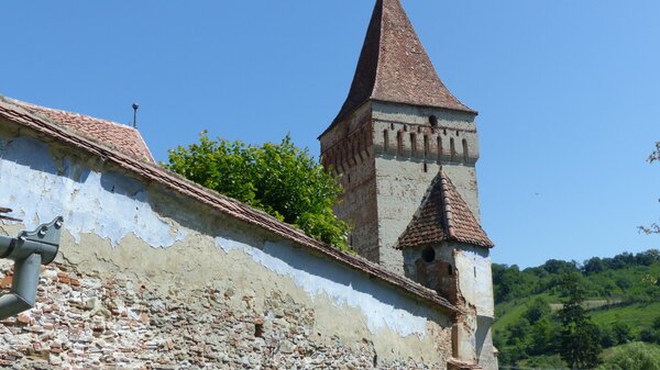 Meschen im Jahr 2015