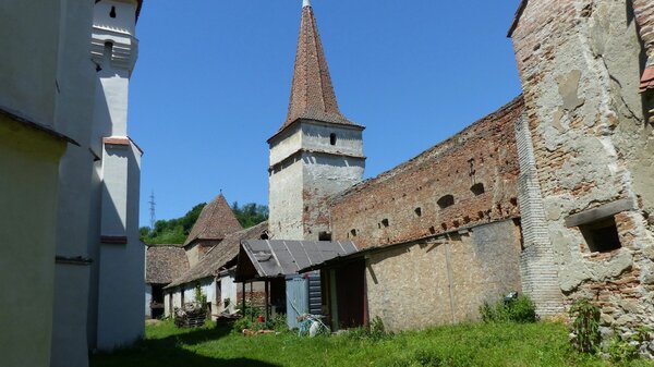 Meschen im Jahr 2015