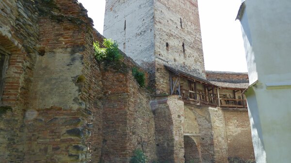 Meschen im Jahr 2015