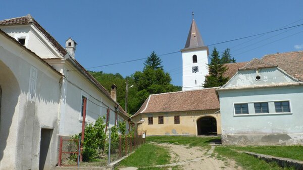 Nadesch im Jahr 2014