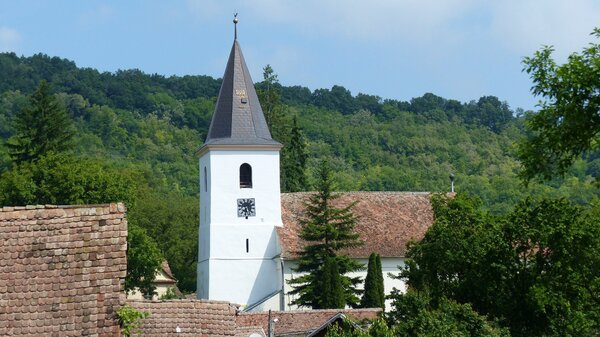 Nadesch im Jahr 2017