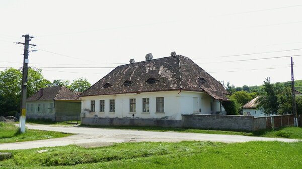 Nadesch im Jahr 2017