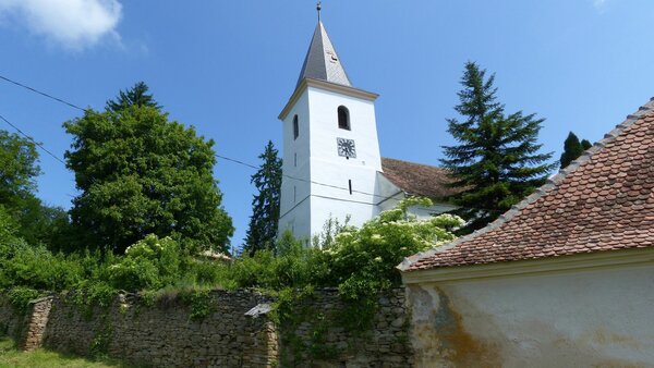 Nadesch im Jahr 2017