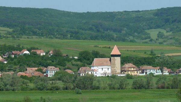 Neithausen im Jahr 2014