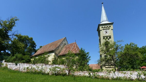 Nimesch im Jahr 2015