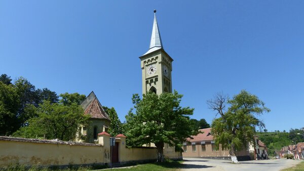 Nimesch im Jahr 2015