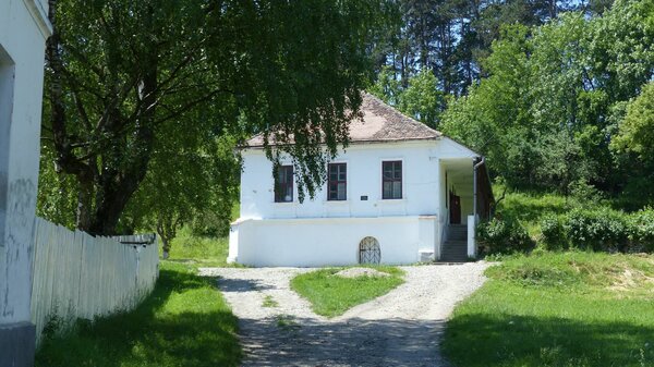 Nimesch im Jahr 2015