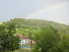 Regenbogen über dem Föhrenwald