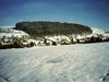 Der Föhrenwald im Winter (2001)