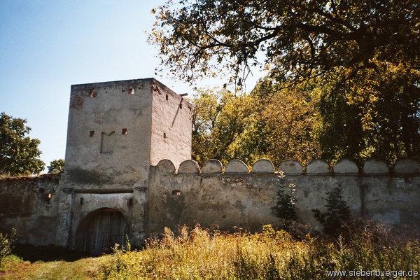 Burg Reps 4
