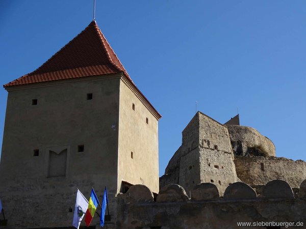 Burg Reps