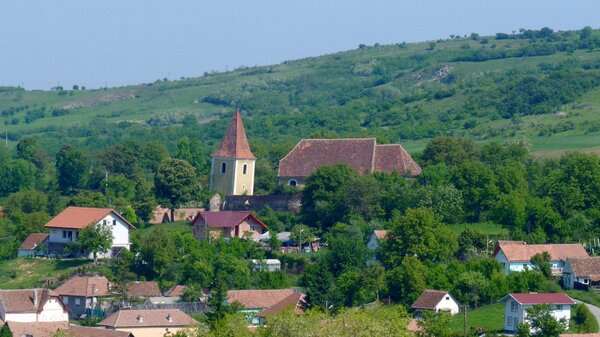 Reu�en im Jahr 2014